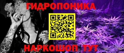 МДПВ Краснознаменск