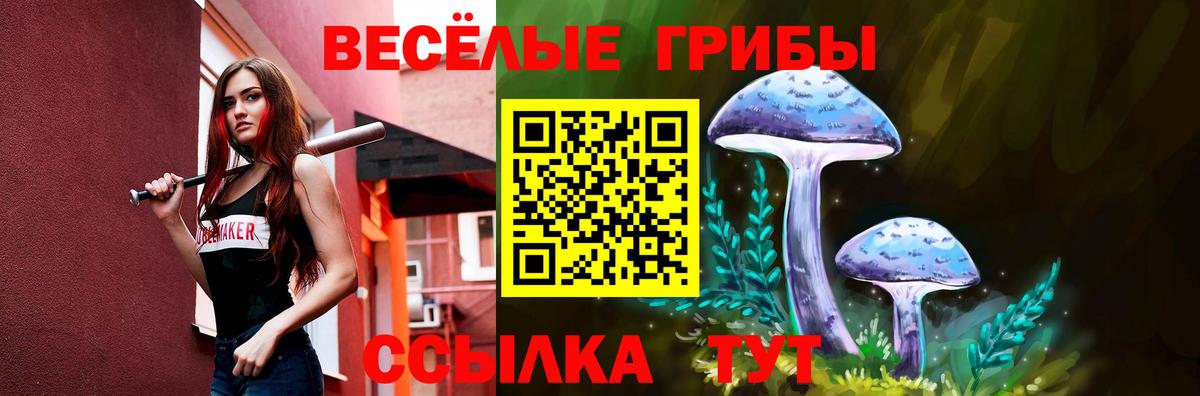 Псилоцибиновые грибы мухоморы  Вход с VPN  Чита 