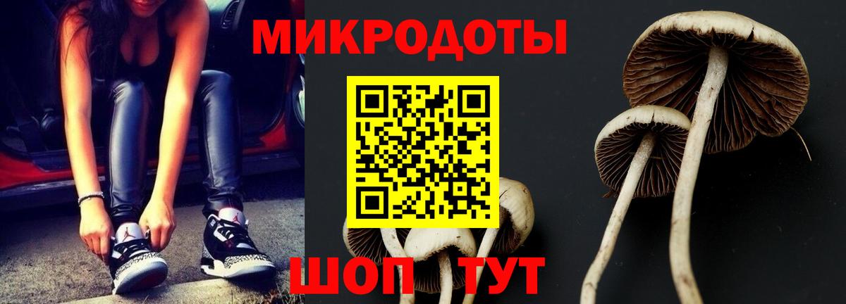 Галлюциногенные грибы мухоморы Чита